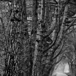 ZEEWEG '21 / 1