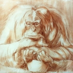 orang-oetan