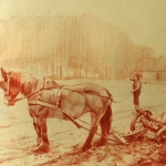 Paard met ploeg