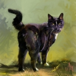 Kat