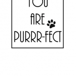 16. You are Purrr-fect