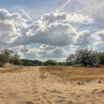 DRUNENSE DUINEN