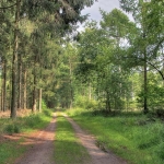 DRENTHE