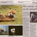 Dagblad 'de Gelderlander'