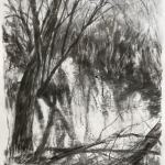 Forest pond 3