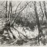 Forest Pond 4