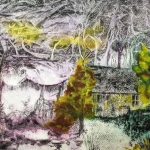 Huis aan de rand van het bos.