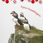 Papegaaiduikers in kerstsfeer