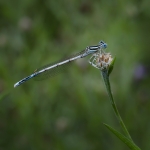 Pauze in de natuur