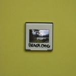 BLACK DOG (book)