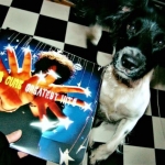 Cuddle the dog and his vinyl collection 1