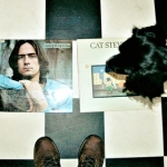 Cuddle the dog and his vinyl collection 2