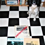 Cuddle the dog and his vinyl collection 11
