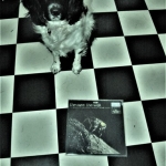 Cuddle the dog and his vinyl collection 23