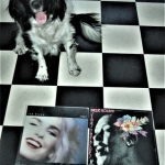Cuddle the dog and his vinyl collection 27