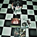 Cuddle the dog and his vinyl collection 30