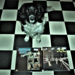 Cuddle the dog and his vinyl collection 32