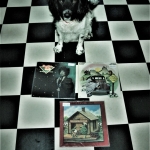 Cuddle the dog and his vinyl collection 37