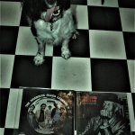Cuddle the dog and his vinyl collection 40