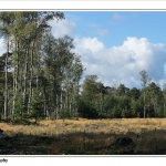 Overijsels Landschap
