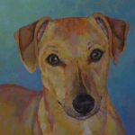 HOND 4