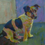 HOND 1