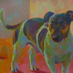 HOND 6