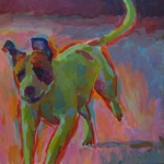 HOND 8