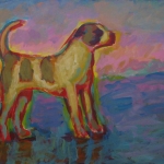 HOND 5