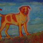 HOND 7