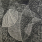 Vormstudie in potlood