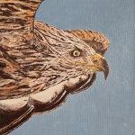 Rode wouw