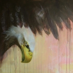 Amerikaanse zeearend