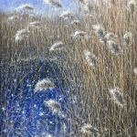 Reed landscape