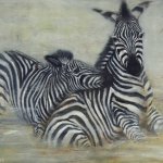 spelende zebra's