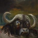 Buffel in water