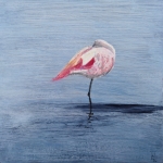 flamingo PS-24-05