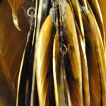 Jewelry of the Bhudda