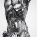 torso 1