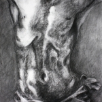 torso 2