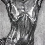 torso 3
