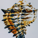 shell 5