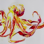 octopus #4