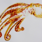 octopus #11