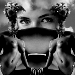 composition of human bodies