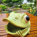 Vogelvoederhuis-Kikker