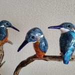 IJsvogeltjes op V-tak