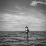 Eenzame visser