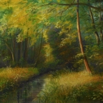 Schipbeek bij Buurse