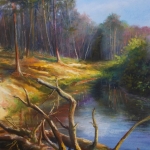 De Dinkel bij het Lutterzand